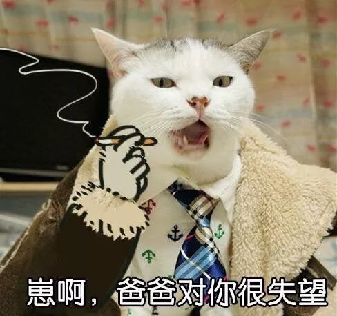 合集 爸爸表情包