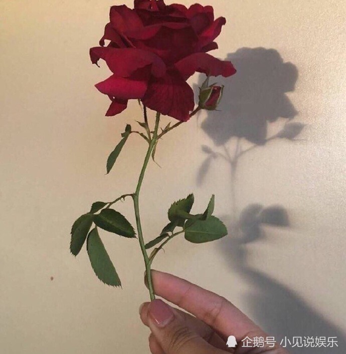 ins·超时尚·背景图:这个世界是有趣的 无趣的 是我!