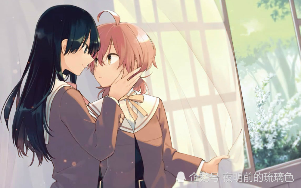 近些年来日常向和百合向的番剧越来越多,女主角们代替了曾经作为主线