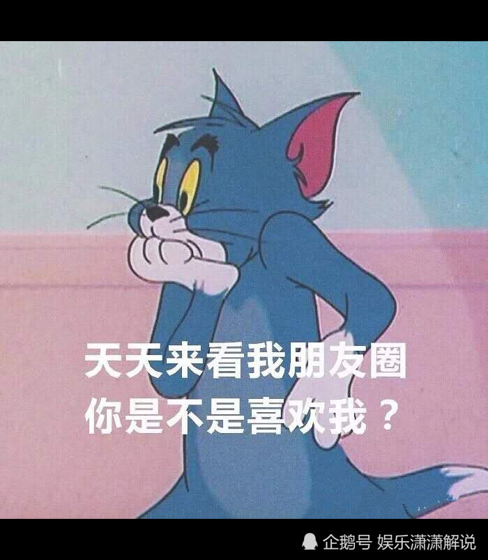 杰瑞,汤姆,猫和老鼠,壁纸,背景图