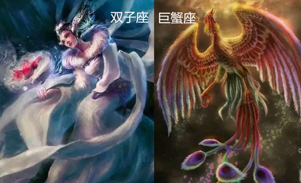 十二星座对应守护神:白羊座的勇猛,巨蟹座的灵性,而它