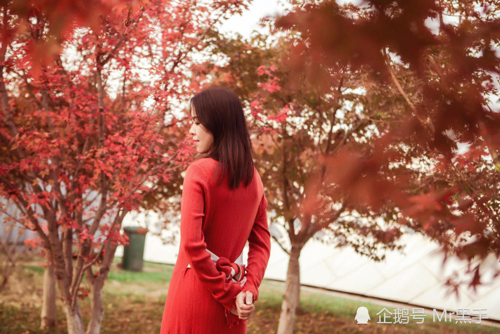 美女写真:红色枫叶