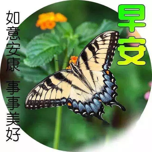 3,相信自己一定能行,珍惜独一无二的你,跨越自卑,就能主宰命运.早安!