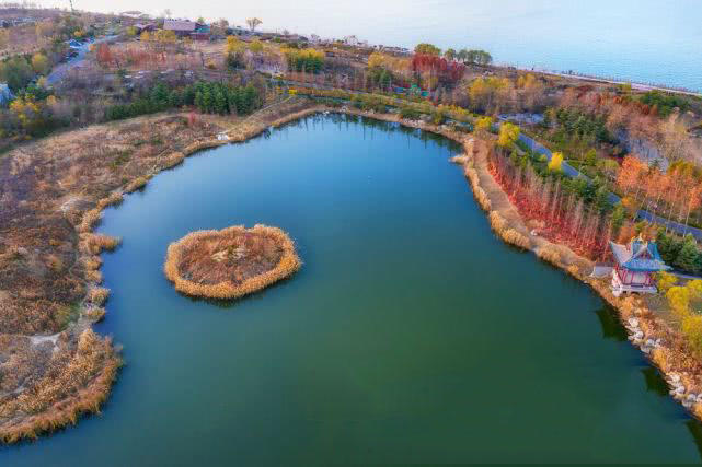 唐岛湾湿地公园获评"国家级" 四季美景看不够