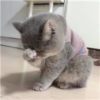 快3345下期开啥