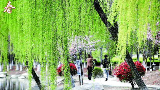 腾讯内容开放平台