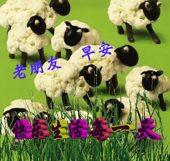 2019最新漂亮微信早上好祝福图片,问候早上好表情包