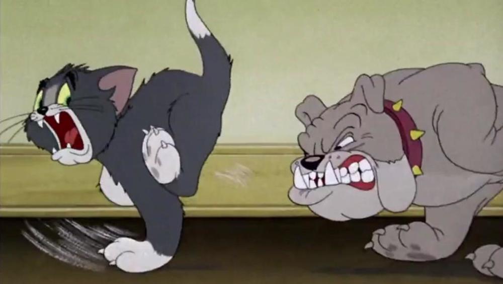 2.《猫和老鼠》里的斯派克