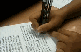搞笑gif:大哥,能不能赢了这场拔河比赛,就看你的表情了
