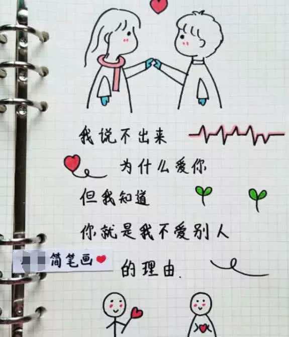 本子上面的这对情侣看起来就很有爱,女孩轻轻抬起男孩的脸,就好像角色