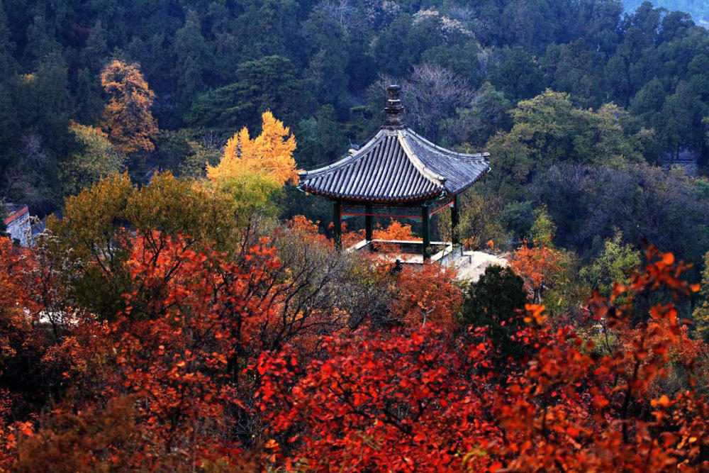 南京4a级景区栖霞山,"栖"字到底是读qi还是xi?