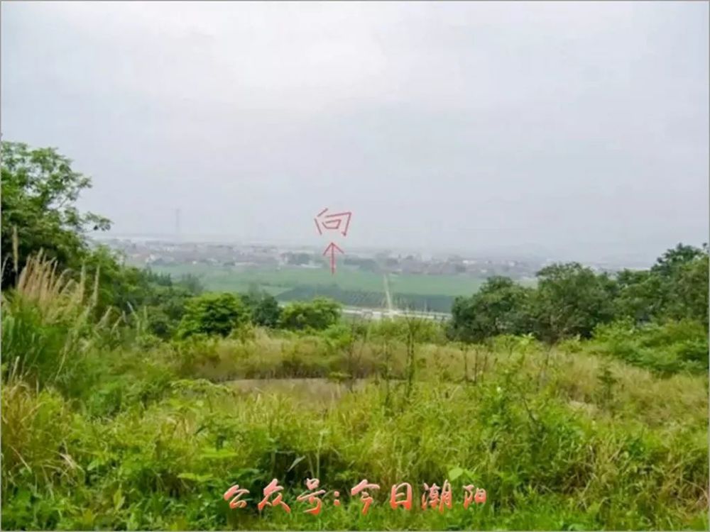 实用风水 在潮阳关埠镇福仓村,有一处风水宝地,是宋朝揭阳进士陈历山