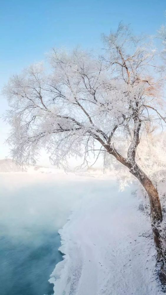 壁纸:完美雪景壁纸