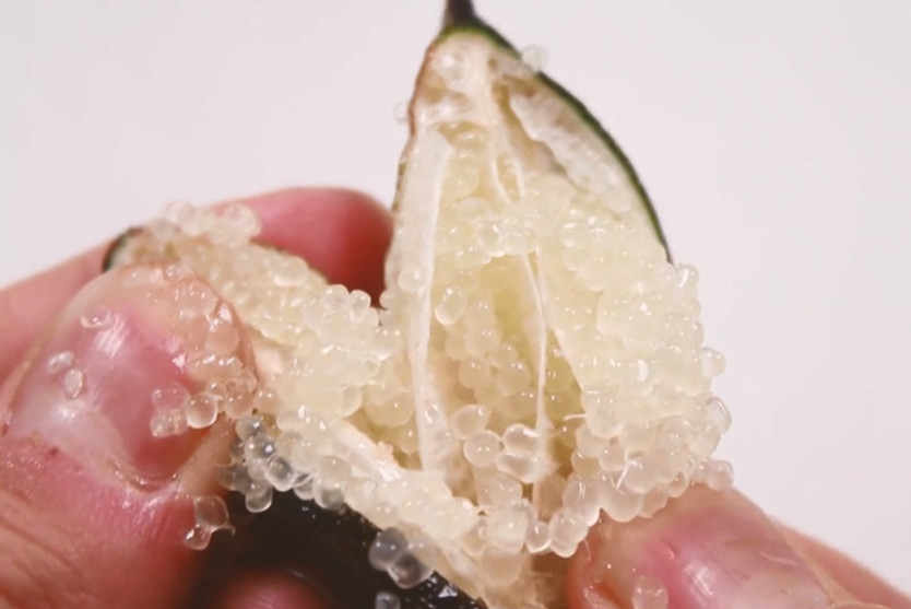 见识一下世界上最贵的水果,一斤八百多块钱,一