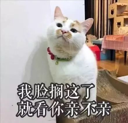 罗熙撩老公表情包