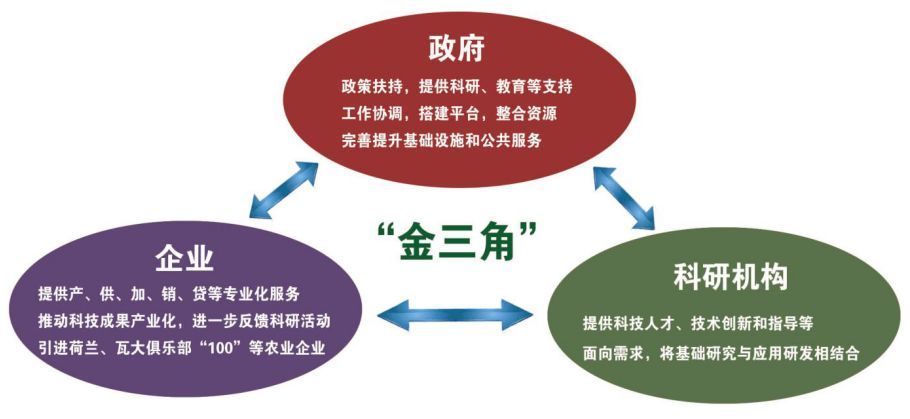 "金三角"合作模式