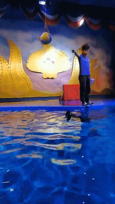 400_705 竖版 竖屏 gif 动态图 动图