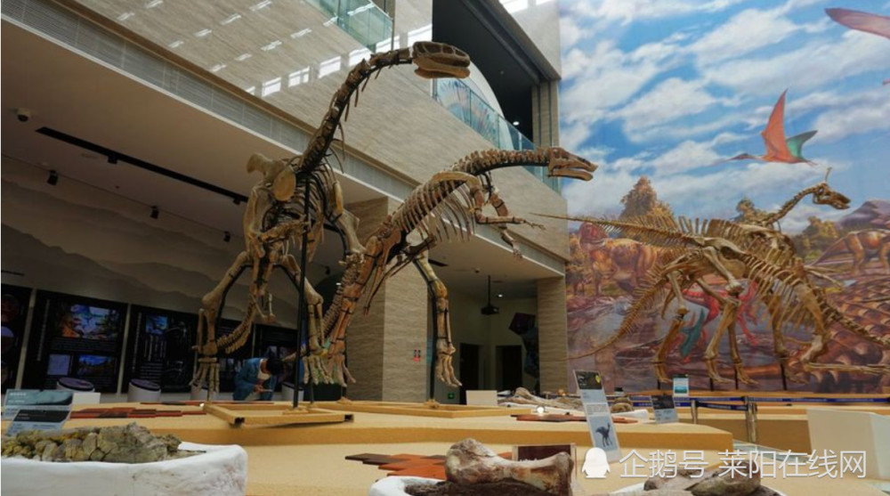 据了解,莱阳白垩纪地质博物馆是胶东地区唯一的以展示白垩纪莱阳恐龙