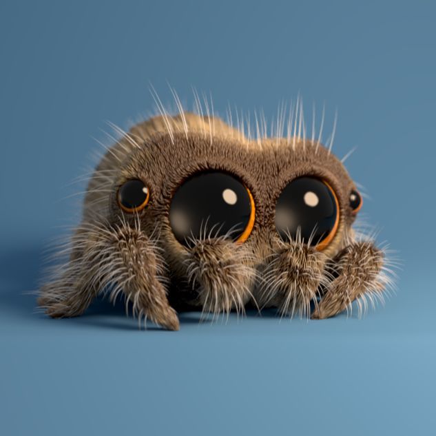 豆瓣9.3,全宇宙最最最可爱的蜘蛛就是它啦