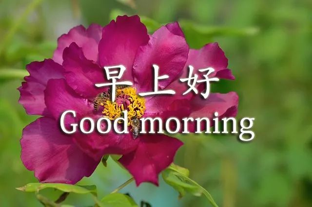 早上好问候语温馨图片 美好的一天早安句子