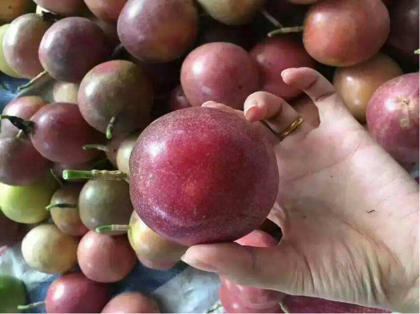 网评最