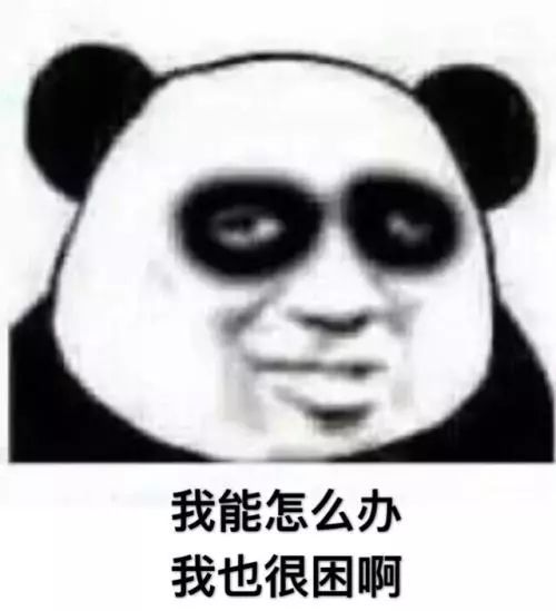 熟悉的页面出来了…… 一不小心 双十二这天过去了!