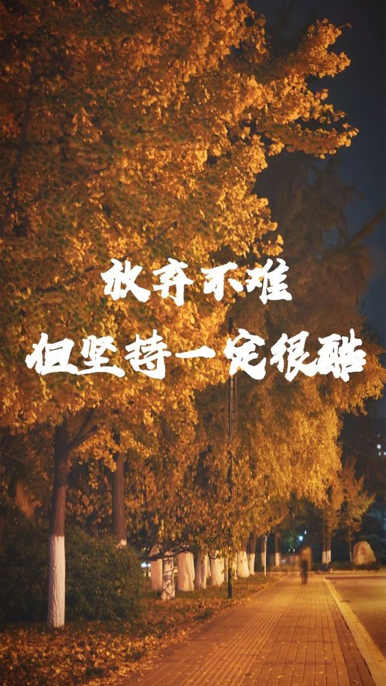 换国表社栋专属壁纸,奇迹会出现吗?