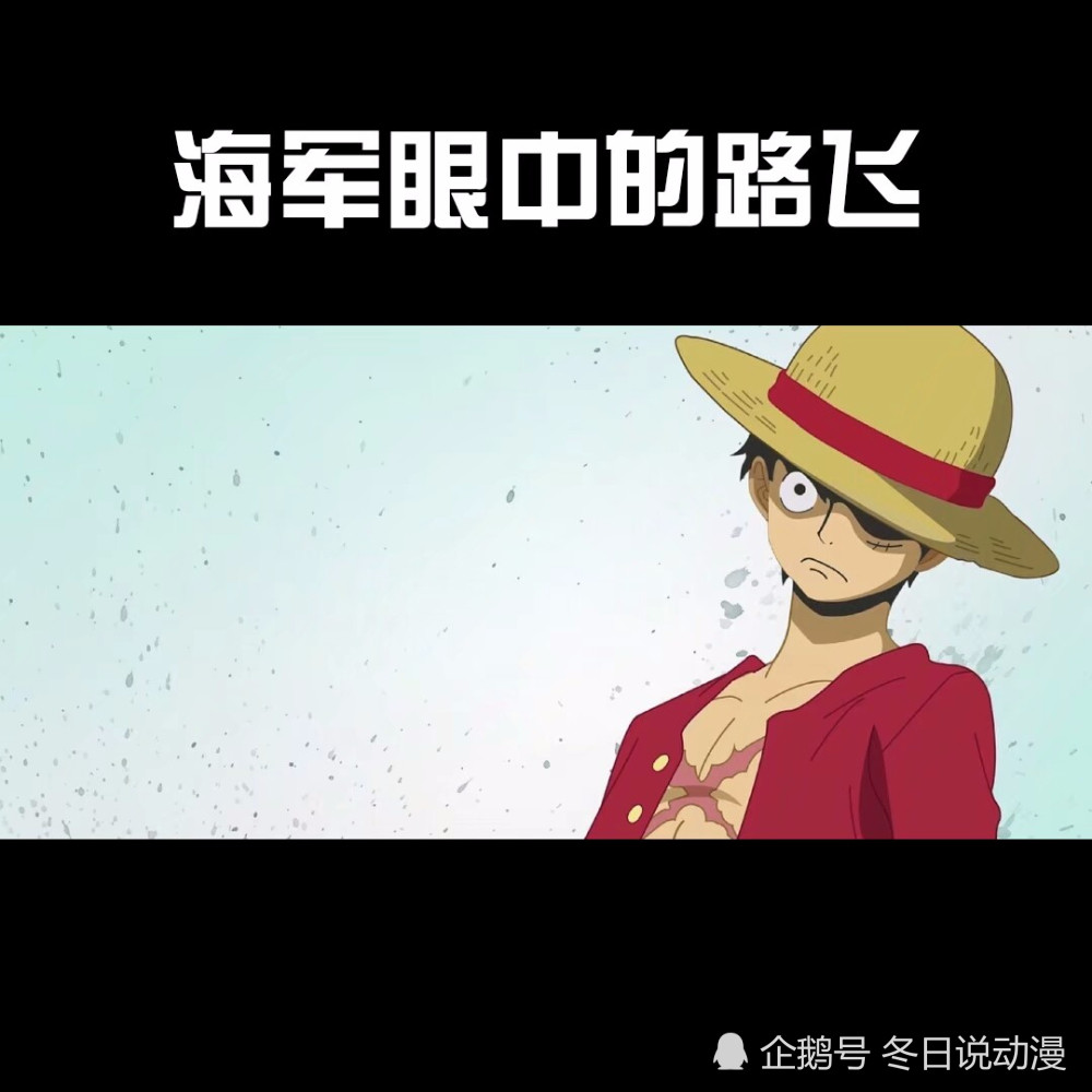 不同人视角下的路飞,最后一个最崩溃