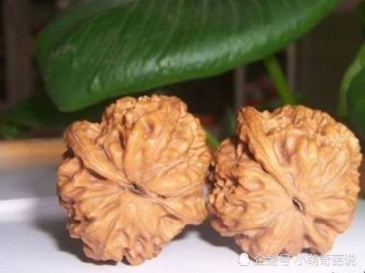 安排已经落伍了,最火网络词盘它啥意思?万物