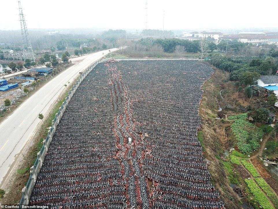 老外航拍又发现中国鬼城 网友:密集恐惧症了