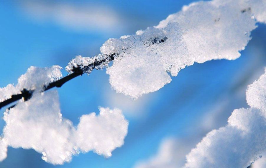 雪花飘飘