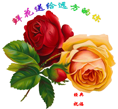 3.9周末问候,太美了,送给群里的朋友,愿您周末逍遥!