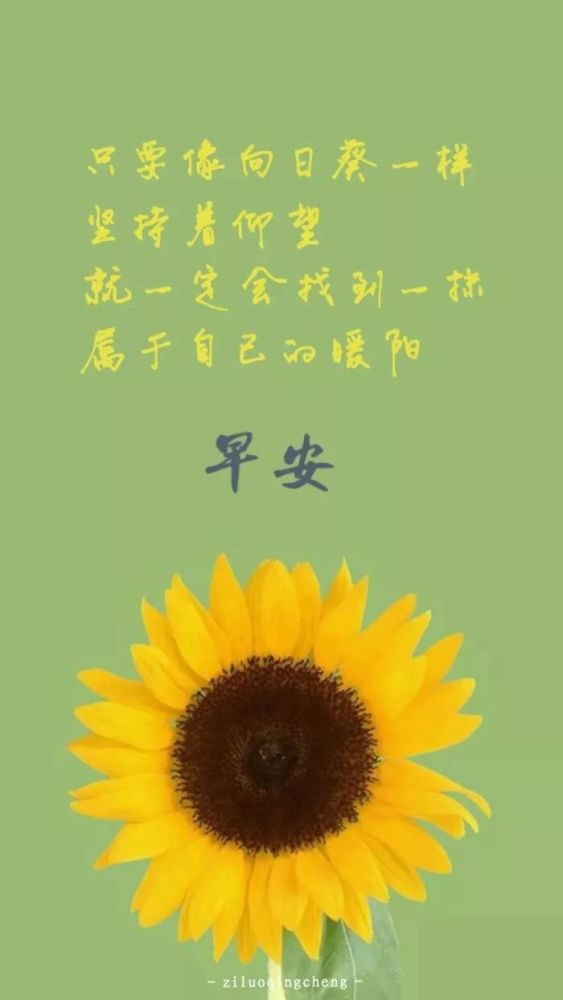 最精辟最火句子早安图片带字