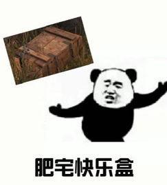 吃鸡奥义:汪苏泷与我的吃鸡秘笈,团队合作!