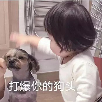 超火的肉熙表情包:我有起床气,谁也别理我