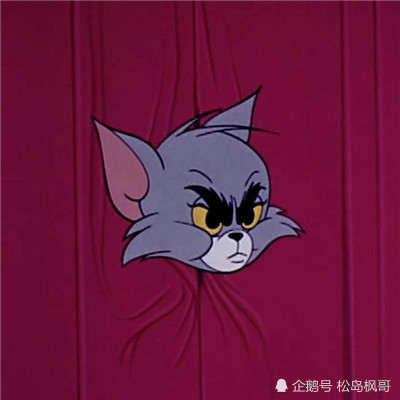 猫和老鼠·头像 网名:没有汤姆的杰瑞也很孤单,就像没