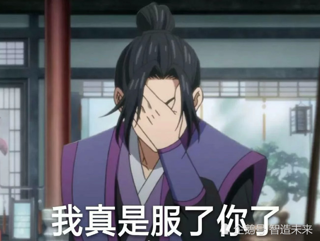 魏无羡,魔道祖师,蓝忘机,金陵