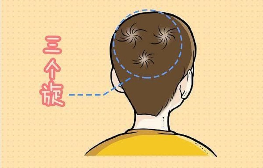 为什么有的人头上只有1个旋涡,有的人有2个旋涡,代表着什么?