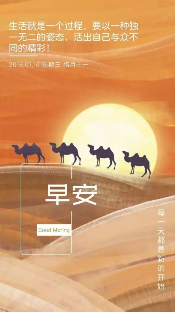 周三日签早安图片 星期三正能量励志带字的图片