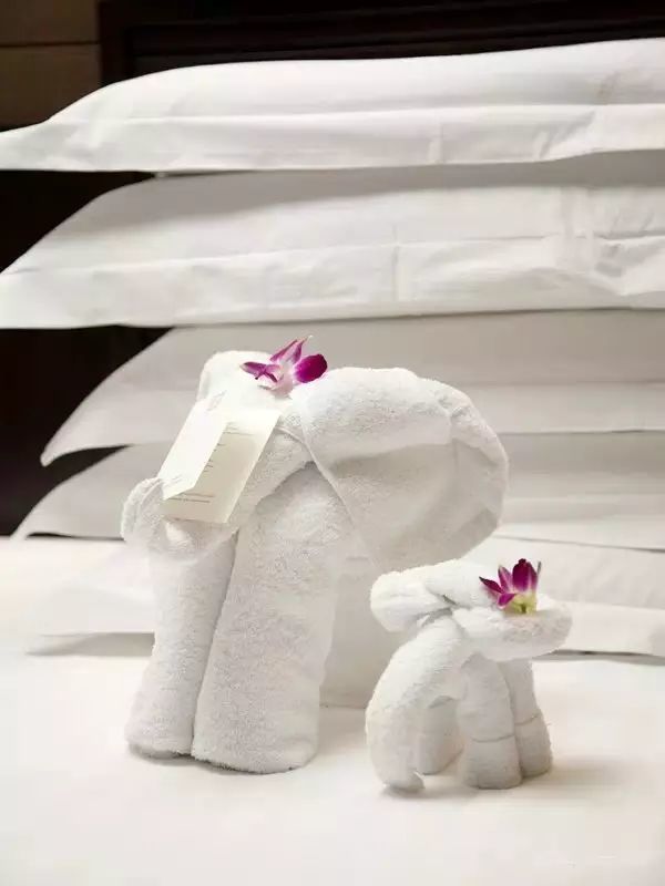 上次小编跟泥萌说过,用毛巾折叠成的大象