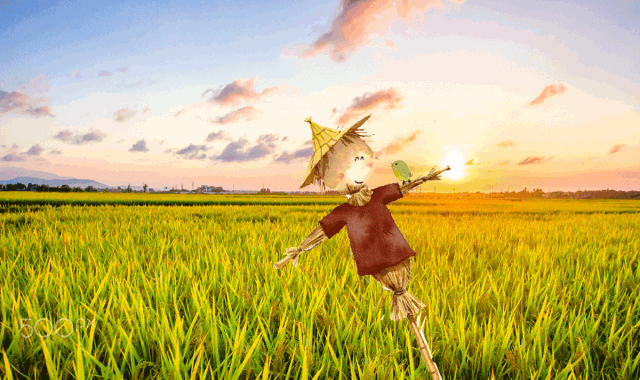 惊艳眼球!西安首个超大型稻草王国,十一给你童话世界!