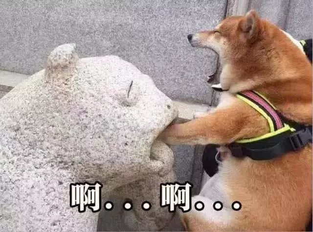 哪些看一次笑一次的表情包?最后一个实在忍不住了