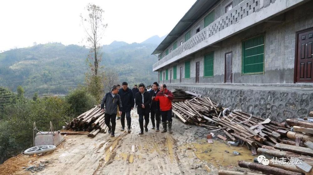 凌云县,陇槐村,谭建生,加尤镇