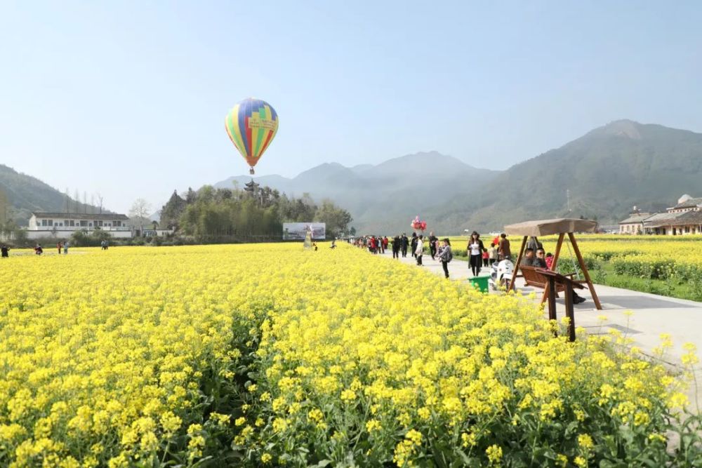 龙泉这两个"最美田园"和一个乡村旅游精品线路,你去过吗?