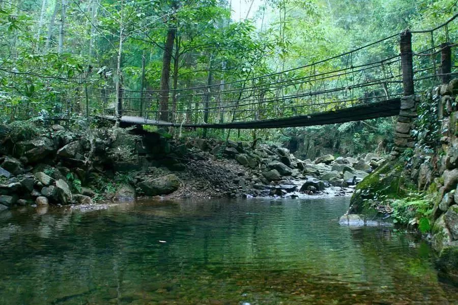 淡竹休闲谷又名淡竹原始森林,景区内的亚热带常绿阔叶林地蕴藏着丰富