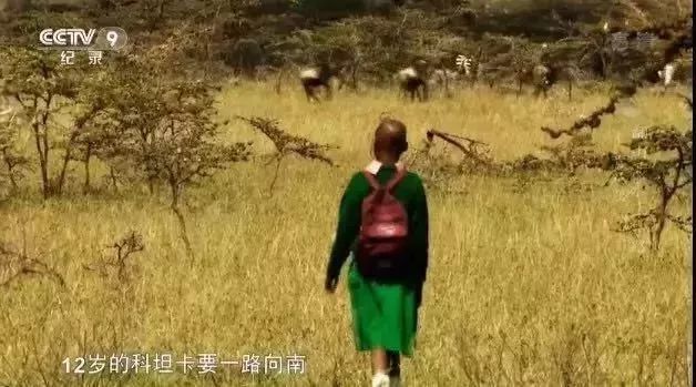 寒假孩子最该看的纪录片:翻山涉水,他们上学是