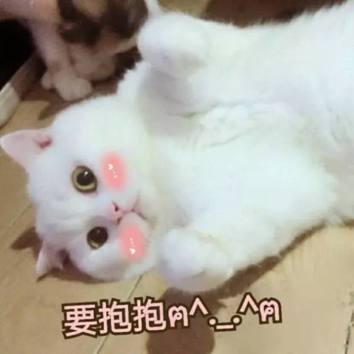跟对象撒娇,这100张表情最好用!