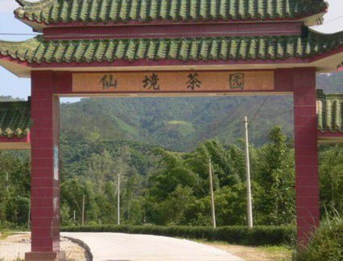 广东省罗定市四个值得一去的旅游景点,有时间一定去看看