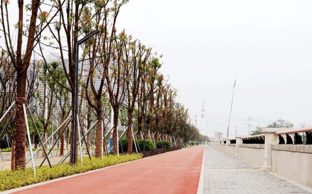 沿河城区人口_沿河土家族自治县(3)