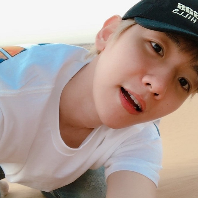 边伯贤:我自拍可爱,朴灿烈:我自拍帅气,他:打扰了!